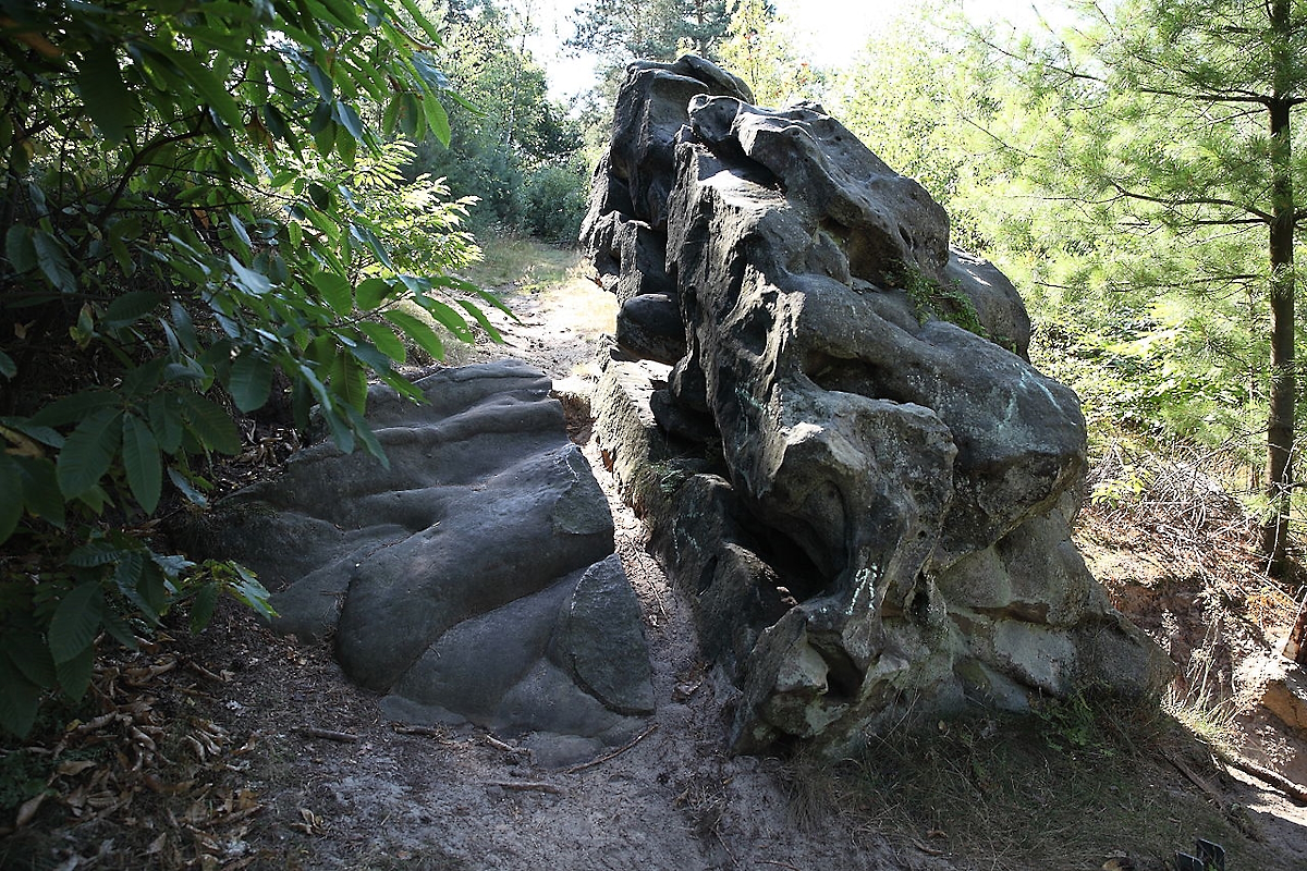 Teufelsstein Stimberg Haard